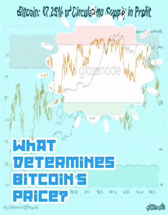 Bitcoin one percent controls circulating coins