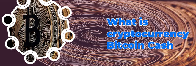 How much is a bitcoin cash