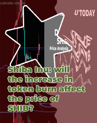 Shib cryptocurrency
