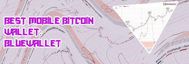 Who holds all the bitcoin