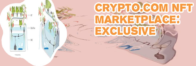 Wwwcryptocom nft